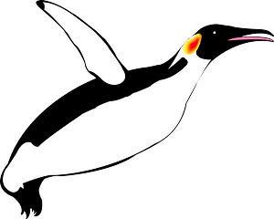 Penguin Flapping its Wings