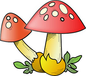 Red Capped Toadstools with White Spots