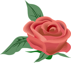 Red Rose