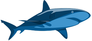 Shark Pure