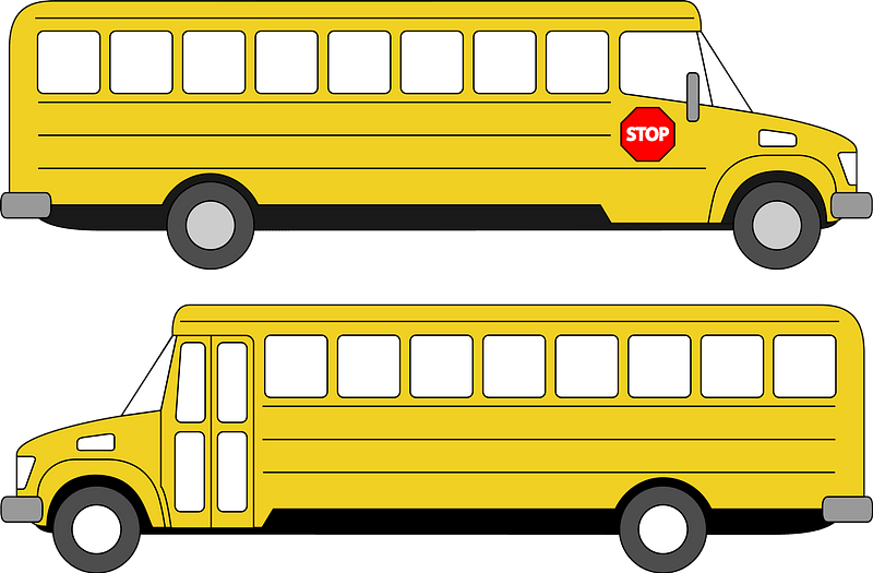 Side View of Two School Buses