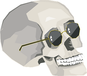 Skull Wearing Sunglasses