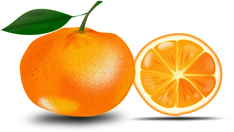 Slice of an Orange