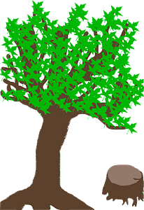 Summer Tree with a Stub