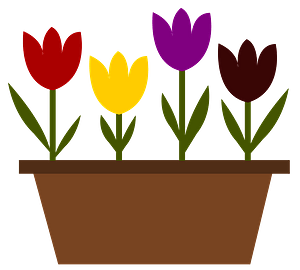 Colorful Tulips in a Brown Pot