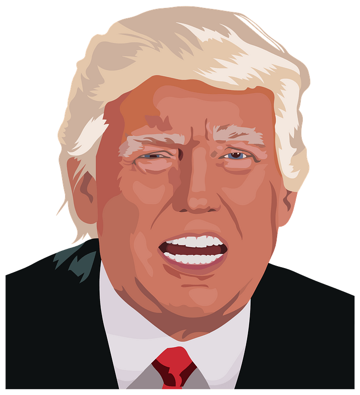 Trump Portrait