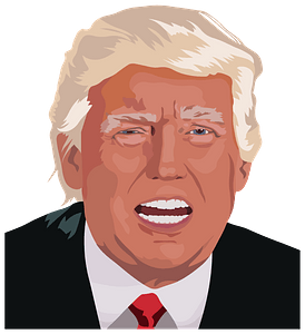 Trump Portrait