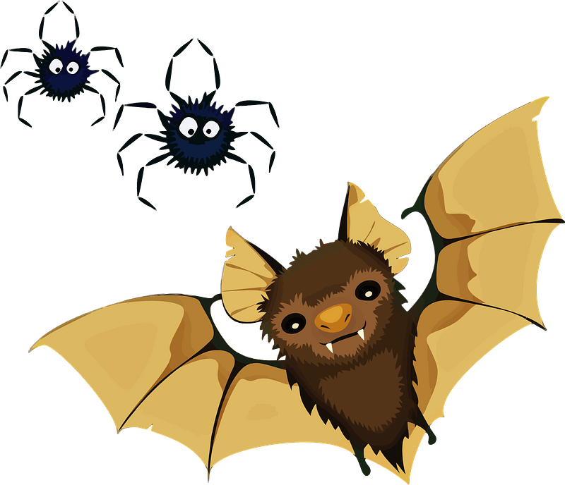 Vampire Bat and Spiders