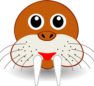 Funny Walrus Face