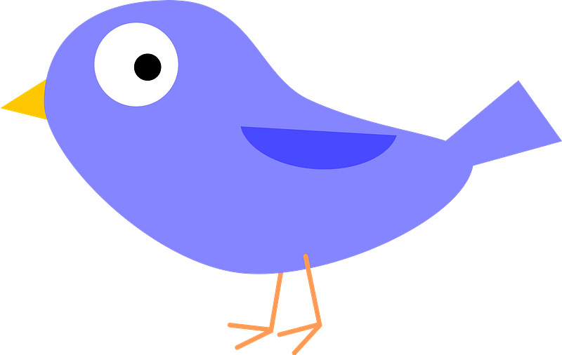 A Purple Bird