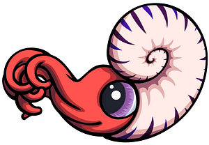 Ammonite - Mollusk