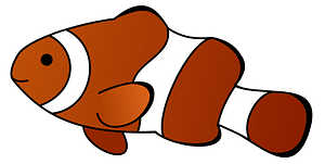 Clownfish