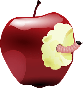 Apple with Worm