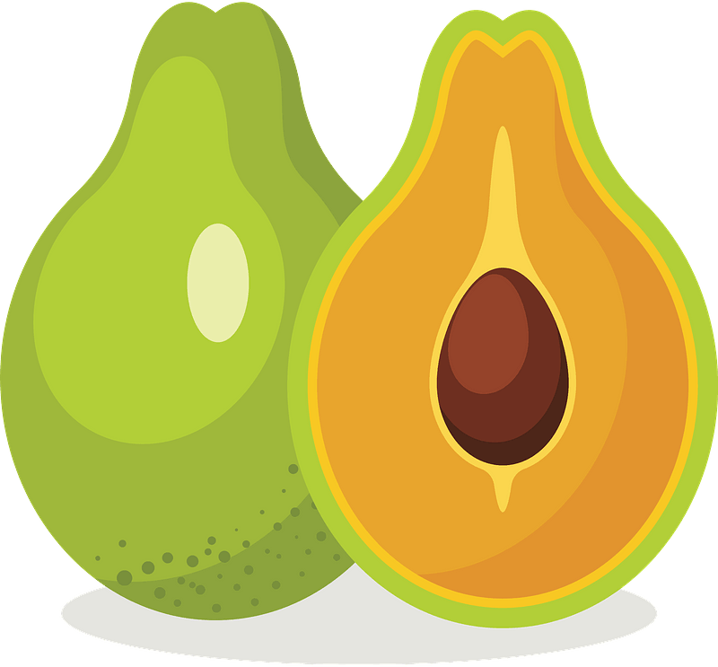 Avocado