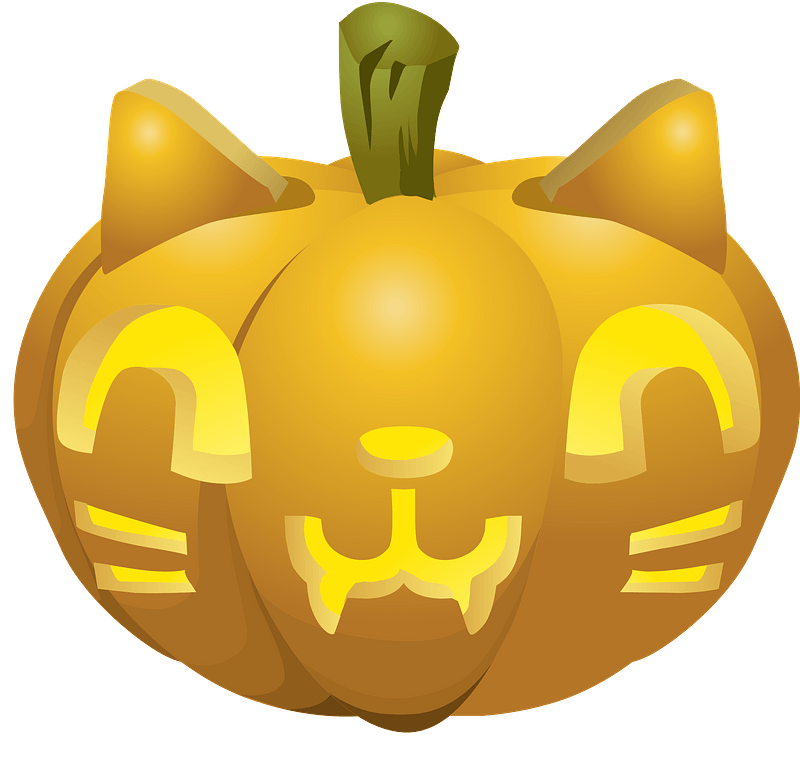 Carved Pumpkin, Lit Up Inside - Cat Face