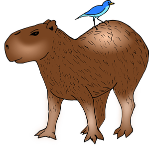 Capybara witha Blue Bird on its Back