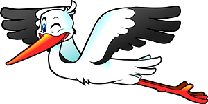 Stork Flying
