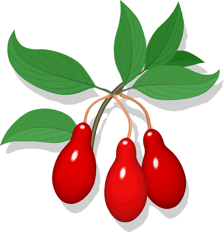 Cling Fruit