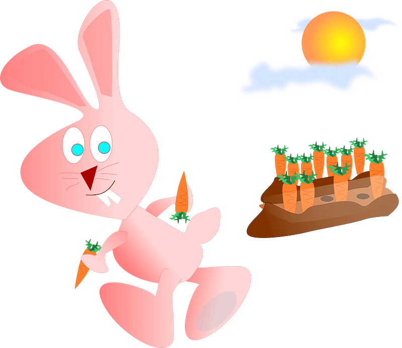 Rabbit Steals Some Carrots