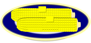 Corn on the Cob on a Blue Plate