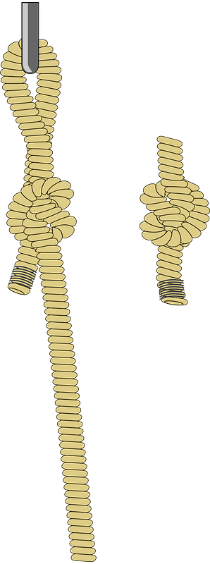 Knotted Ropes