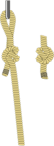 Knotted Ropes