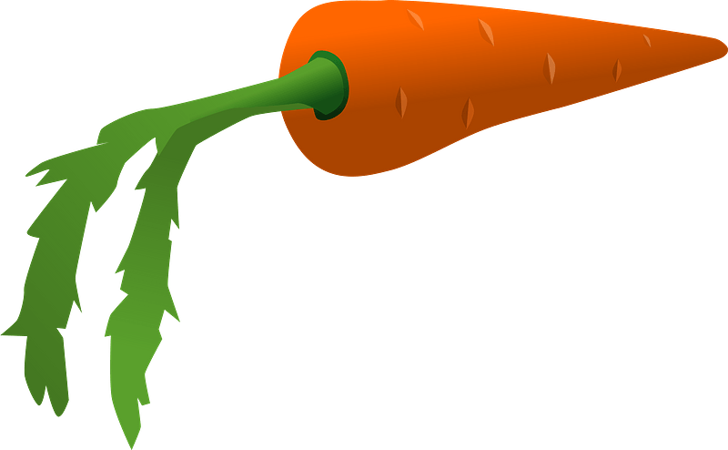 Carrot