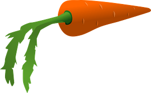 Carrot