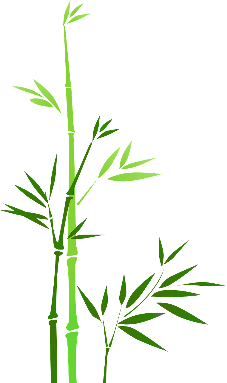 Green Bamboo