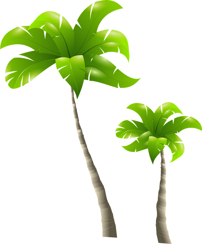 Palm Trees