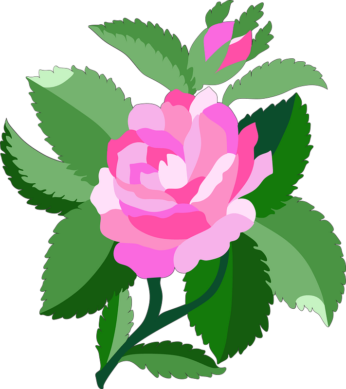 Design for Damask Rose