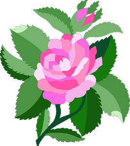 Design for Damask Rose