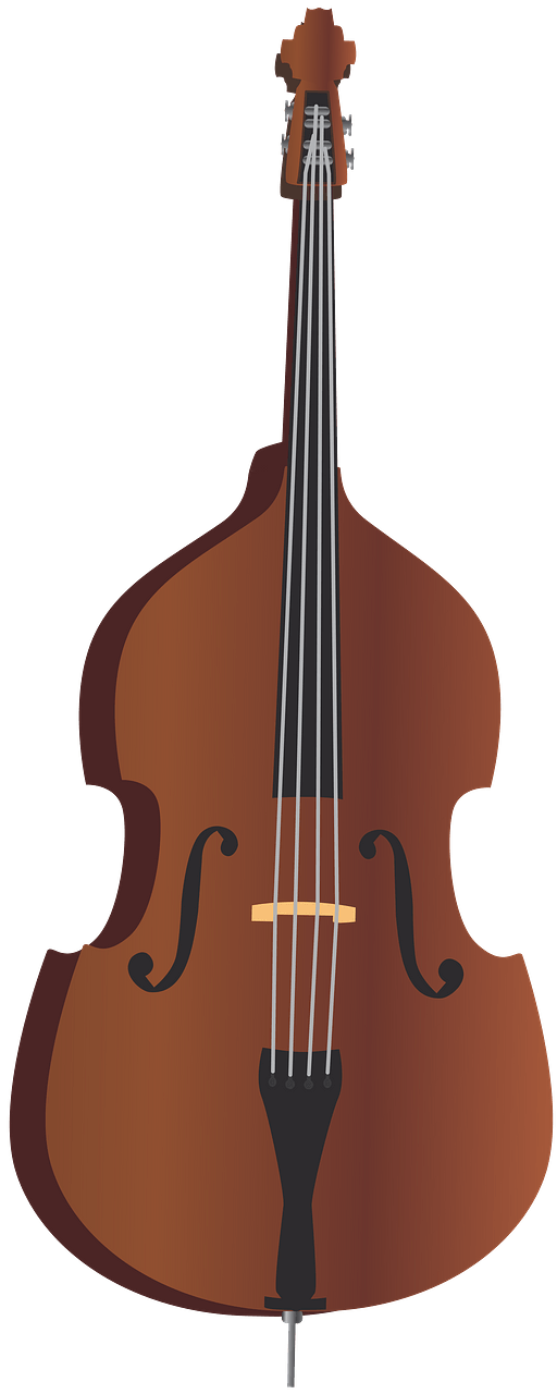 Double Bass