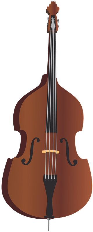 Double Bass