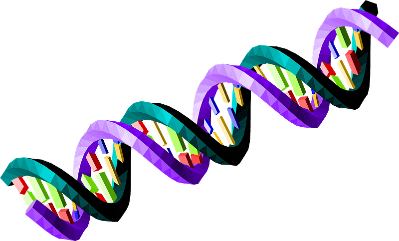 Double-Stranded Dna Sequence