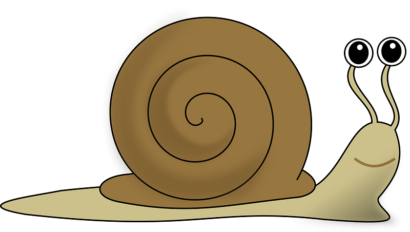 Snail