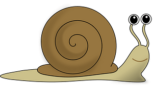 Snail
