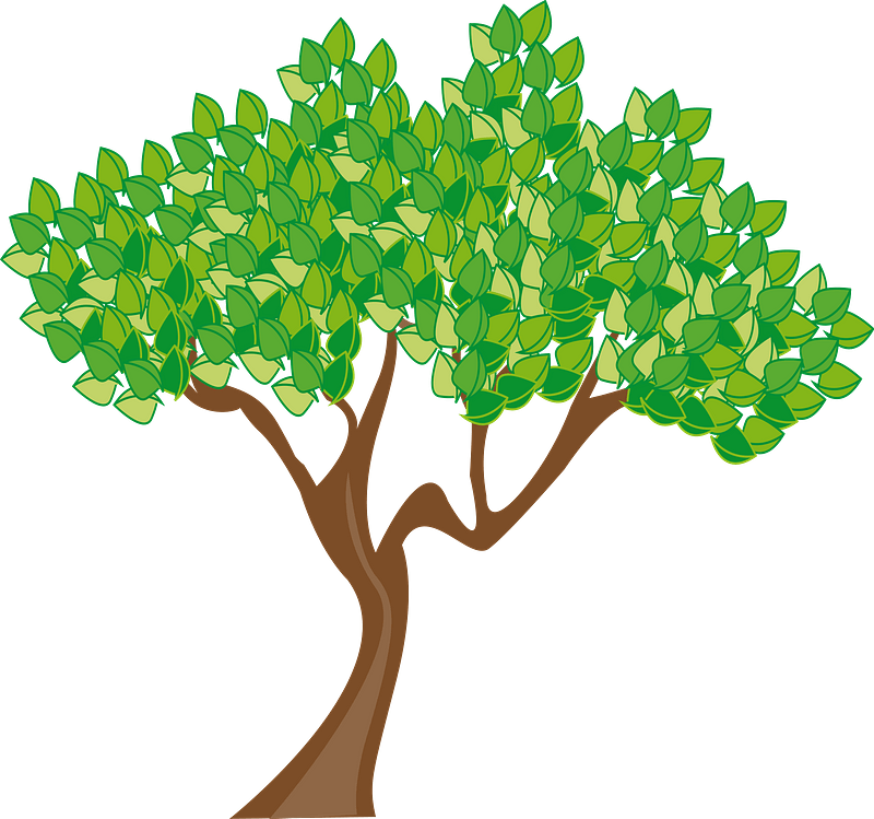 Tree with Leaves