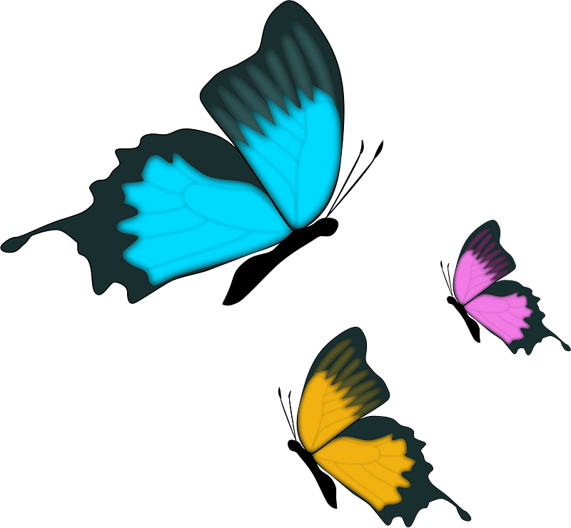 Colorful Butterflies