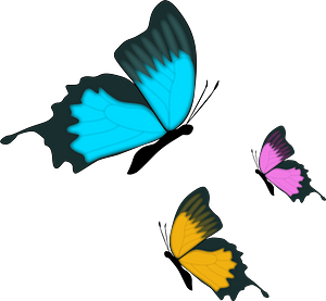 Colorful Butterflies