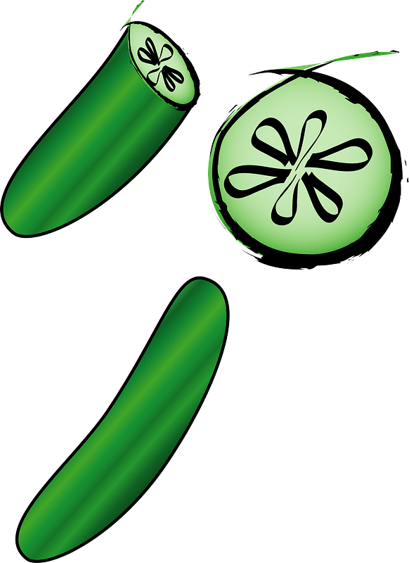 Cucumber