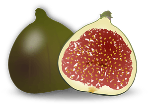 Fig Fruit