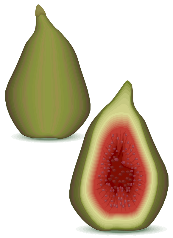 Figs