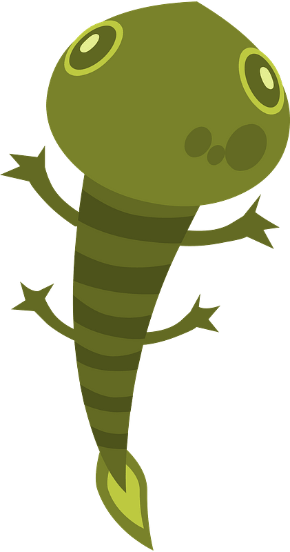 Firebog Lizard