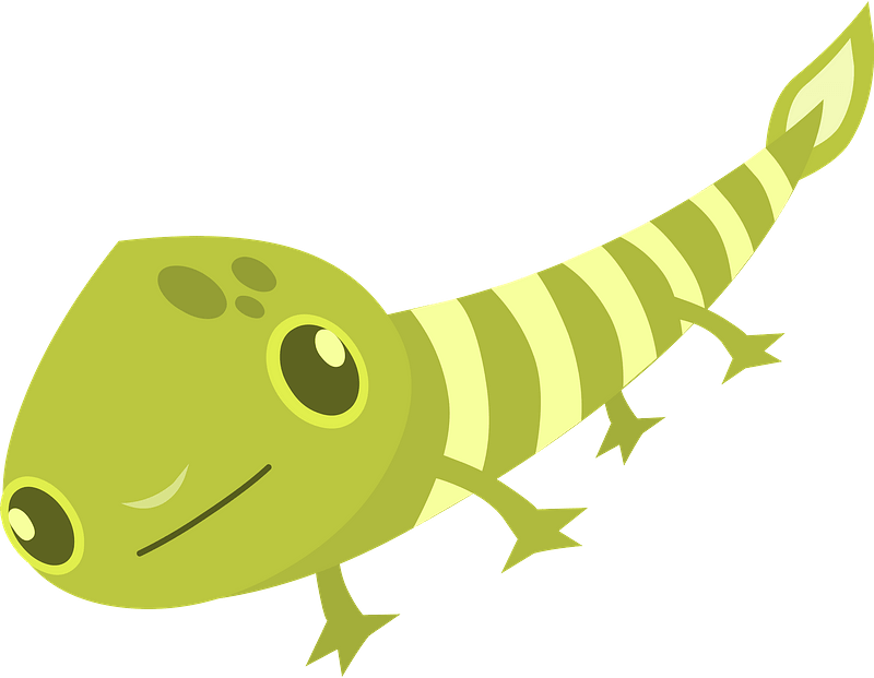 Firebog Lizard