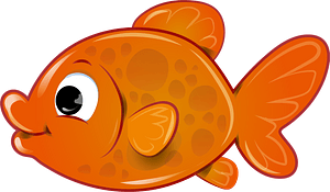 Orange Fish
