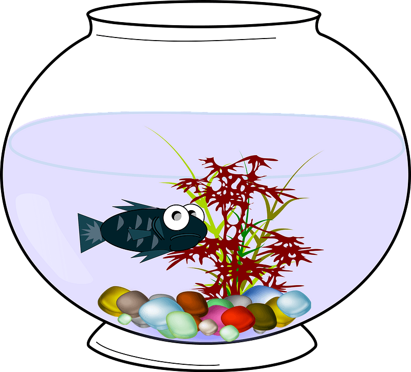 Aquarium Fish Bowl