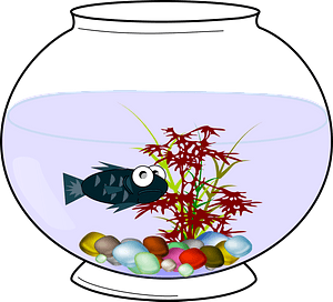 Aquarium Fish Bowl