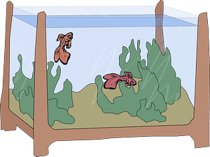 Fishtank in Color
