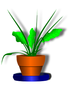 Flower and Flowerpot